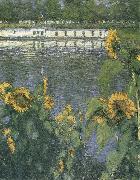 Gustave Caillebotte The sunflowers of waterside oil painting